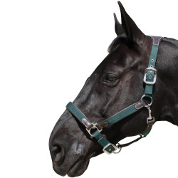 Halster Flags & Cup nylon/leer Bruin / olijf Groen