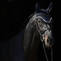 Vliegenmasker Bucas Marineblauw / goud
