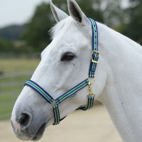 Halster Bucas Dublin Gestreept / marineblauw Multicolor