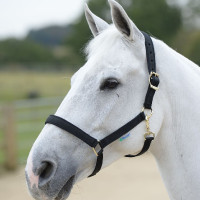 Halster Bucas Dublin Zwart / zwart