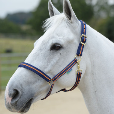 Halster Bucas Dublin Marineblauw / oranje