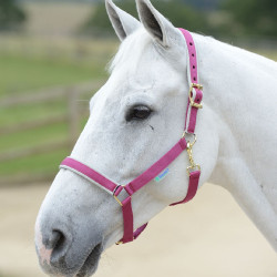 Halster Bucas Dublin Roze / zilver