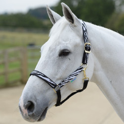 Halster Bucas Dublin Zebra / zwart Motieven