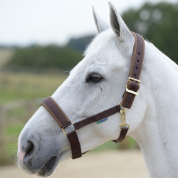 Halster Bucas Comfort