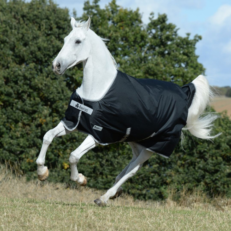 Waterdichte deken Bucas Anniversary Turnout 150g SD