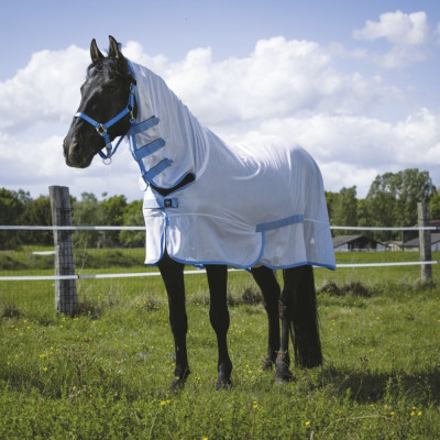 Chemise filet Riding World Combo Blanc / bleu ciel