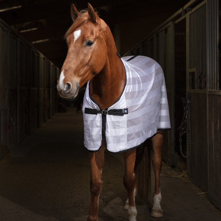 Overhemd Riding World Mesh