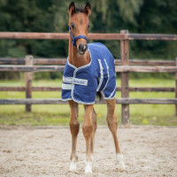 Veulen deken Bucas Turnout 50g Marineblauw zilver / marineblauw