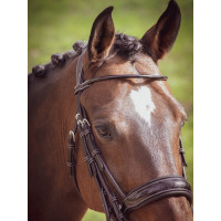 Borsttuig Courchevel Jump'In One Havana Bruin