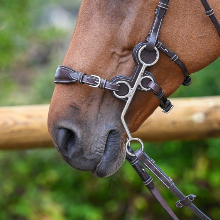 Beschermers Jump'In voor hackamore 0091 en 0092