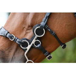 Beschermers Jump'In voor hackamore 0091 en 0092 Zwart