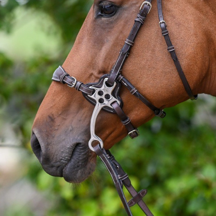 Beschermers Jump'In voor hackamore 0093