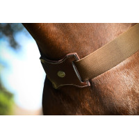 Elastische hulpteugel Jump'In Havana Bruin