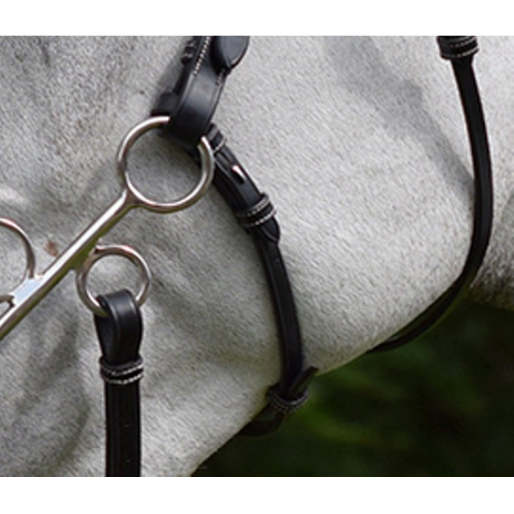 Bedragen en riem voor hackamore Jump'In week