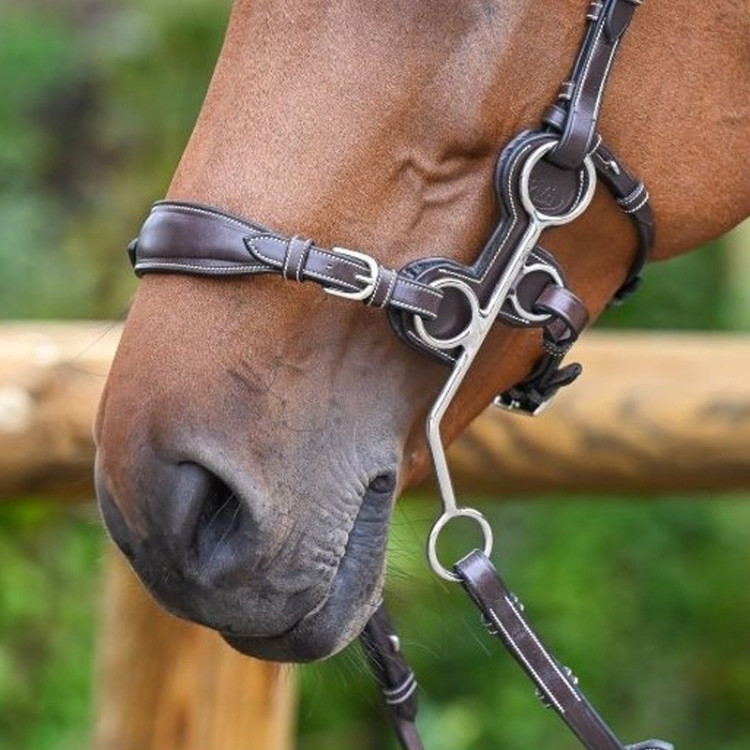 Loodneus van hackamore Jump'In