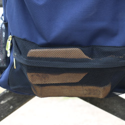 Stalzak Kentucky Marineblauw