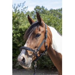 Veiligheids-halster Safe Control Style HKM Veiligheids-halster Safe Control Style HKM