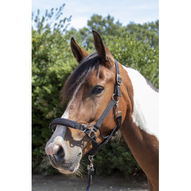 Veiligheids-halster Safe Control Style HKM Veiligheids-halster Safe Control Style HKM