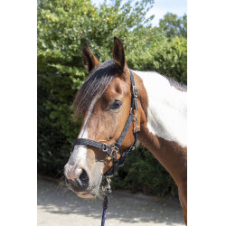 Veiligheids-halster Safe Control Style HKM Veiligheids-halster Safe Control Style HKM