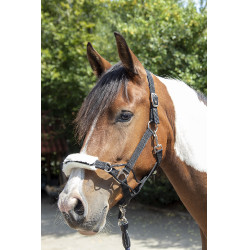 Veiligheids-halster Safe Control Style HKM Veiligheids-halster Safe Control Style HKM
