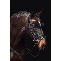 Hoofdstel Rosegold Glamour Style HKM Zwart / roségoud