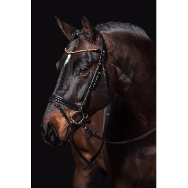 Hoofdstel Rosegold Glamour Style HKM Hoofdstel Rosegold Glamour Style HKM