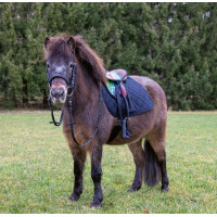 Zadel voor Shetland set Kleurrijk HKM Hart / zwart