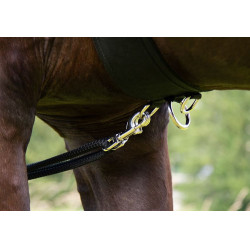 HKM Longeersysteem Zwart