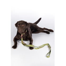 Dressuurlijn voor honden Qooper nylon HKM Pistache Groen