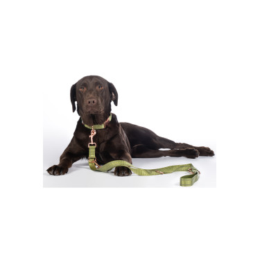 Dressuurlijn voor honden Qooper nylon HKM Pistache Groen