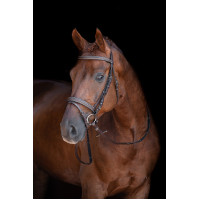 Bridon Lou HKM Bruin