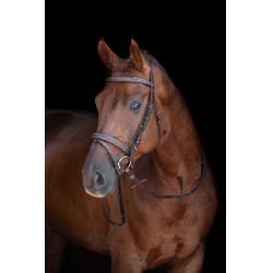 Bridon Lou HKM Bruin