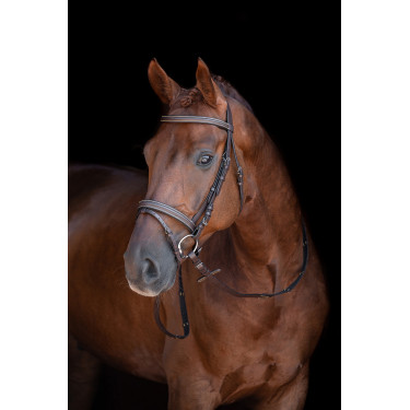 Bridon Lou HKM Bruin