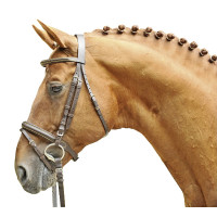 Bridon Lou HKM Bruin