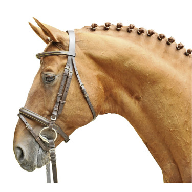 Bridon Lou HKM Bruin