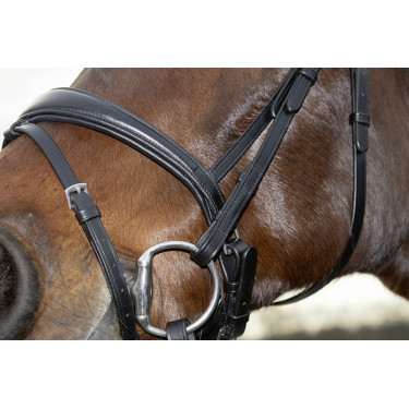Bridon Melinda HKM Zwart