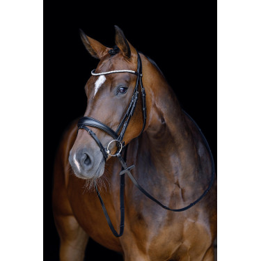 Bridon Melinda HKM Zwart