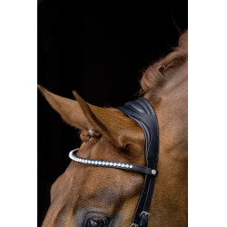 Bridon Pro Anatomic HKM Zwart