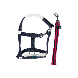 Startset Cuddle Pony HKM Donkerblauw