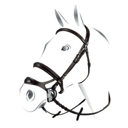 Gecombineerde hoofdstel Equestro