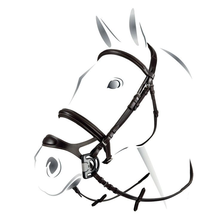 Gecombineerde hoofdstel Equestro