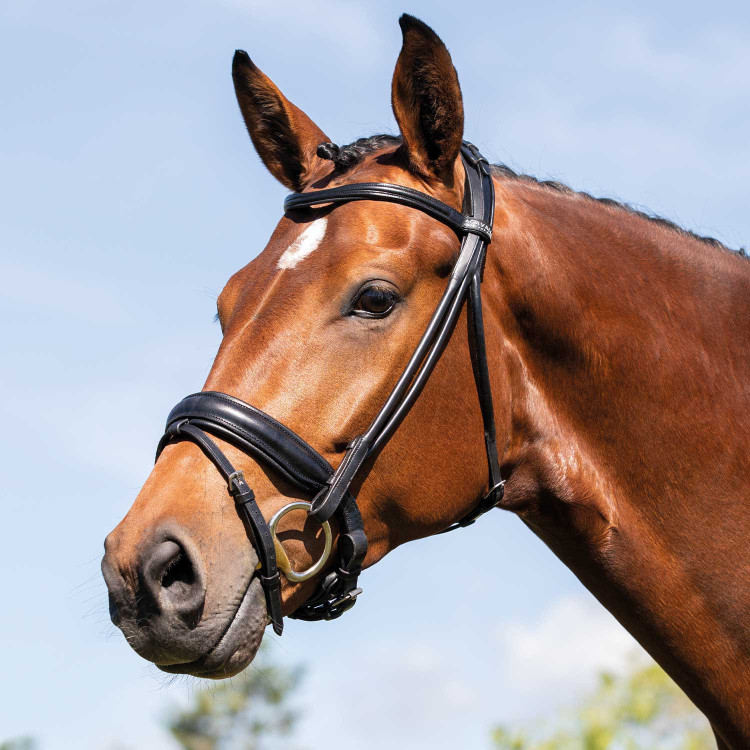 Opgerolde leren teugel Fornarina Acavallo