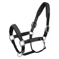 Leren halster met gevlochten nylon inzetstukken Equestro Zwart / grijs Leren halster met gevlochten nylon inzetstukken Equestro Zwart / grijs