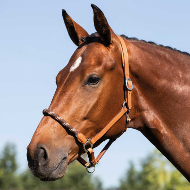Lederen halster met ergonomische bescherming en neusriem van touw Acavallo Cognac Bruin