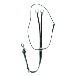 Martingaal met leren halsband Equestro Zwart