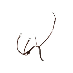 Martingaal met lederen halsband Melanie met elastische vork Equestro Donkerbruin