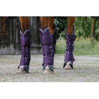 Transportbeschermers Equithème Tyrex 600D Pruim Violet Transportbeschermers Equithème Tyrex 600D Pruim Violet