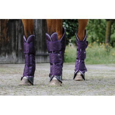 Transportbeschermers Equithème Tyrex 600D Pruim Violet