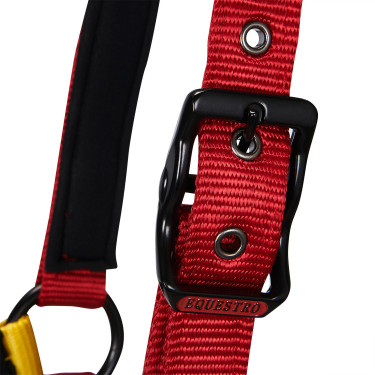 Nylon halster Flaggy Equestro Zwart / rood / geel