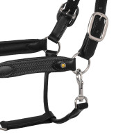 Leren halster met gevlochten nylon inzetstukken Equestro Zwart / grijs Leren halster met gevlochten nylon inzetstukken Equestro Zwart / grijs